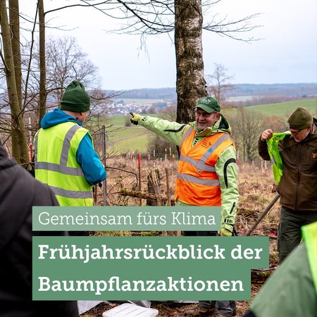 Gemeinsam konnten wir im Frühjahr 2.121 Bäume in der Region pflanzen. 🌱 Ohne euch wäre das alles nicht möglich! 
Die nächsten Baumpflanzaktionen finden im Herbst statt. Wenn du auch gerne mithelfen möchtest, komm doch gerne vorbei! 💚 (Die Termine geben wir über unsere Kanäle bekannt)

#klimafairein #bäume #baumpflanzaktion #regional #klima